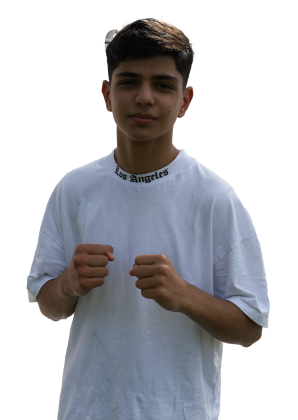 Ahmed 