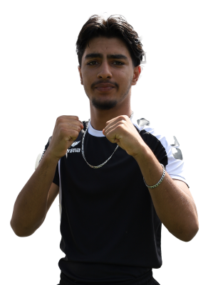 Mohammadi 